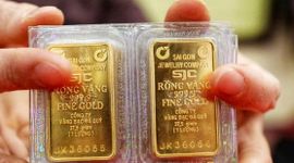 Giá vàng SJC bật tăng 300 nghìn đồng/lượng chiều 13/8