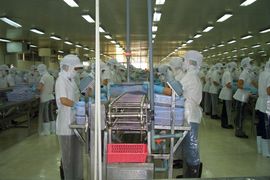 Xuất khẩu các sản phẩm thủy sản chủ lực đã lấy lại sự cân bằng