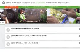 Bị xử phạt công bố thông tin, doanh nghiệp "ngăn" cổ đông tiếp cận báo cáo tài chính