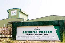 Từng được IFC rót 1.000 tỷ để cạnh tranh với Masan, CP trong mảng thịt, Green Feed bất ngờ báo lỗ 20 tỷ, nợ phải trả 5.500 tỷ đồng