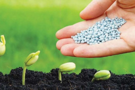 Ngành phân bón quý III/2023: Doanh nghiệp nhỏ lãi bằng lần, lợi nhuận “ông lớn” xuống đáy