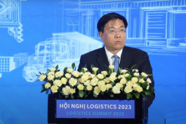 “Hầu hết doanh nghiệp logistics Việt hoạt động manh mún, thiếu kinh nghiệm và tính chuyên nghiệp”