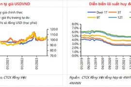 "Đáy lãi suất huy động sẽ kích tâm lý vay trong quý 4, tăng trưởng tín dụng cả năm 11-12% là phù hợp"