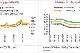 "Đáy lãi suất huy động sẽ kích tâm lý vay trong quý 4, tăng trưởng tín dụng cả năm 11-12% là phù hợp"