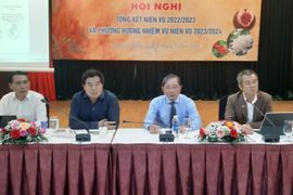 Xuất khẩu cà phê niên vụ 2022-2023 đạt mức cao kỷ lục, đạt 4,08 tỷ USD