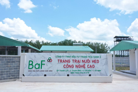 Cổ phiếu lệch pha thị trường, BAF có tháng tăng giá thứ 3 liên tiếp