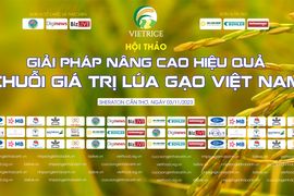 Sắp diễn ra hội thảo “Giải pháp nâng cao hiệu quả chuỗi giá trị lúa gạo Việt Nam”