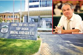 Hai tổ chức và một nhà đầu tư cá nhân “rót” 1.300 tỷ mua 130 triệu cổ phiếu Hoàng Anh Gia Lai