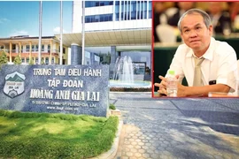 Hai tổ chức và một nhà đầu tư cá nhân “rót” 1.300 tỷ mua 130 triệu cổ phiếu Hoàng Anh Gia Lai