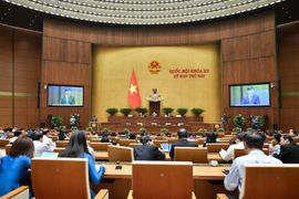 Đại biểu Quốc hội: Cần nâng mức đặt cọc đấu giá đất lên hơn 20%