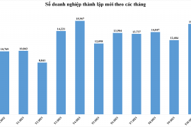 Doanh nghiệp thành lập mới tháng 11/2023 giảm về lượng, tăng về vốn