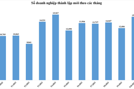 Doanh nghiệp thành lập mới tháng 11/2023 giảm về lượng, tăng về vốn