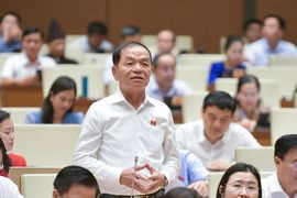 Đại biểu Lê Thanh Vân: "Không phân biệt dự án công, dự án tư, tránh tình trạng 2 giá, bất bình đẳng"