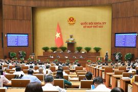 Người có quốc tịch Việt Nam ở nước ngoài có bị hạn chế về quyền sử dụng đất?