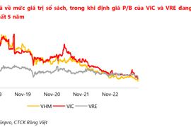 VDSC: “Trợ lực nhóm cổ phiếu VIC giải tỏa tâm lý tiêu cực trên thị trường”