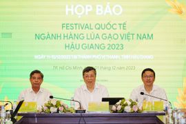 Lần đầu tiên Việt Nam tổ chức Festival Quốc tế ngành hàng lúa gạo
