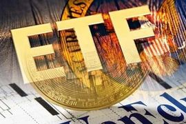 Quỹ ETF quy mô 560 triệu USD thêm mới duy nhất CEO, dự kiến mua mạnh VIC, VNM, VHM