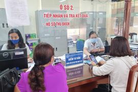 Loạt doanh nghiệp của Shark Thủy nợ hàng chục tỷ đồng tiền bảo hiểm