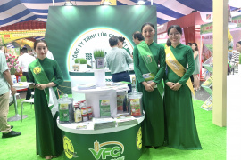 PAN hợp tác xây dựng mô hình canh tác theo chuỗi giá trị lúa gạo