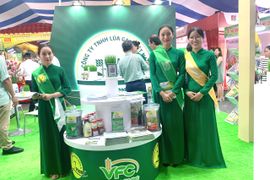 PAN hợp tác xây dựng mô hình canh tác theo chuỗi giá trị lúa gạo