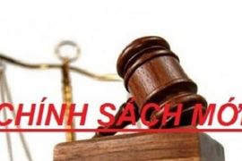 Một số chính sách mới của Chính phủ có hiệu lực từ tháng 12/2023