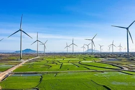 Bộ Công Thương xây dựng khung giá phát điện nhà máy điện mặt trời, điện gió