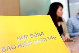 Đem hơn 10.000 tỷ gửi ngân hàng và mua trái phiếu, một doanh nghiệp bảo hiểm nhân thọ lãi lớn từ hoạt động tài chính