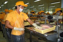 Kim ngạch xuất khẩu thủy sản đang phục hồi và có tăng trưởng