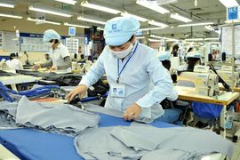 Việt Nam nên làm gì khi xuất khẩu dệt may sụt giảm, thua Bangladesh?