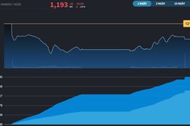 Dòng tiền nội bị đánh động, VN-Index thủng mốc 1.200 điểm
