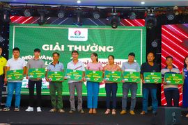 Phân bón Cà Mau: Chọn đúng để cà phê xen canh cho năng suất cao