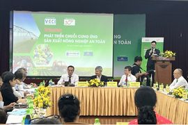 Ngành nông nghiệp Việt rất đa dạng nhưng khả năng cung cấp số lượng lớn chưa tốt
