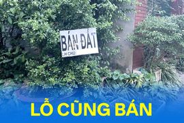 Nỗi lòng nhà đầu tư: "Đã bán lỗ còn bị ép giá giảm đến 50%"