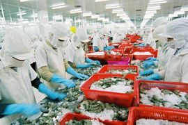 Lợi nhuận doanh nghiệp thủy sản kỳ vọng tăng 20-30% năm 2024 khi xuất khẩu phục hồi nửa cuối năm