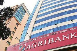 Agribank hoàn tất tăng vốn lên gần 41.000 tỷ, dự kiến đạt 51.500 tỷ trong năm 2024