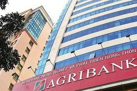 Agribank hoàn tất tăng vốn lên gần 41.000 tỷ, dự kiến đạt 51.500 tỷ trong năm 2024