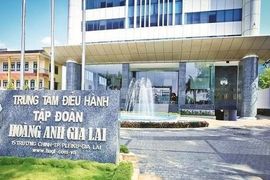 Vốn điều lệ từ 6.663 tỷ xuống 1.950 tỷ: Hành trình thay đổi của Chăn nuôi Gia Lai sau lần thứ 2 hoán đổi nợ thành vốn cổ phần với HAGL