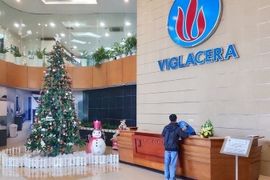 Viglacera bị xử phạt và truy thu thuế hơn 11 tỷ đồng