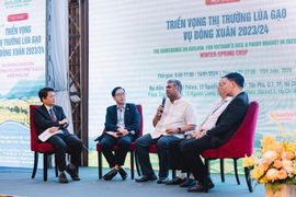 Các yếu tố nào sẽ tác động lên thị trường gạo xuất khẩu trong năm 2024?