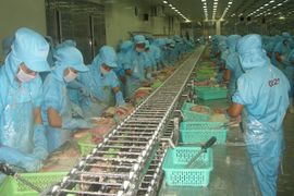 Trung Quốc sẽ là thị trường tăng trưởng cao về tiêu thụ cá tra