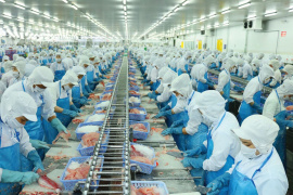 Sụt giảm hơn một nửa, lợi nhuận sau thuế năm 2023 của Vĩnh Hoàn mất mốc 1.000 tỷ đồng