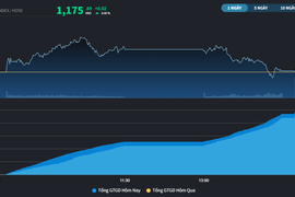 Nỗ lực rời rạc của một số cổ phiếu, VN-Index chỉ tăng 0,02 điểm