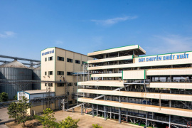 Năm 2024, Dabaco lên kế hoạch doanh thu tỷ USD