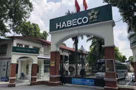 Cạnh tranh ngày càng gay gắt, lợi nhuận Habeco giảm còn 355 tỷ đồng năm 2023