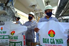 Nguồn thu chính sụt giảm, Đạm Cà Mau (DCM) báo lãi 'bốc hơi' hơn 74% trong năm 2023