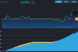 Thanh khoản yếu, Midcap và Penny bất ngờ trỗi dậy