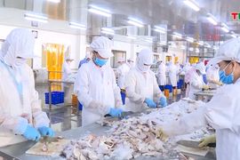 Ngành Ngân hàng sẵn sàng hỗ trợ tín dụng cho ngành nông nghiệp