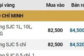 Giá vàng SJC, giá vàng nhẫn hôm nay ngày 12/10