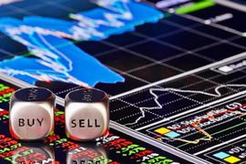 Pyn Elite Fund chi trăm tỷ đồng mua cổ phiếu NTL, Đầu tư Dịch vụ Hoàng Huy có cổ đông lớn mới