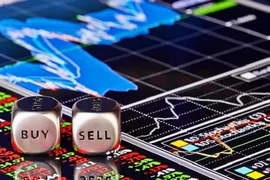Pyn Elite Fund chi trăm tỷ đồng mua cổ phiếu NTL, Đầu tư Dịch vụ Hoàng Huy có cổ đông lớn mới